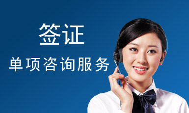 簽證咨詢服務(wù)